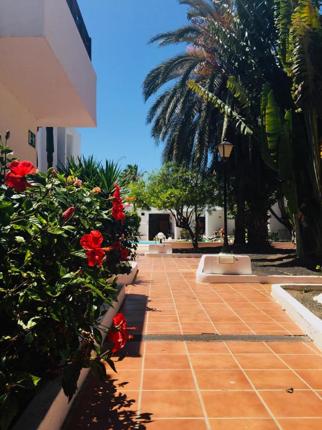 Apartamentos Maribel