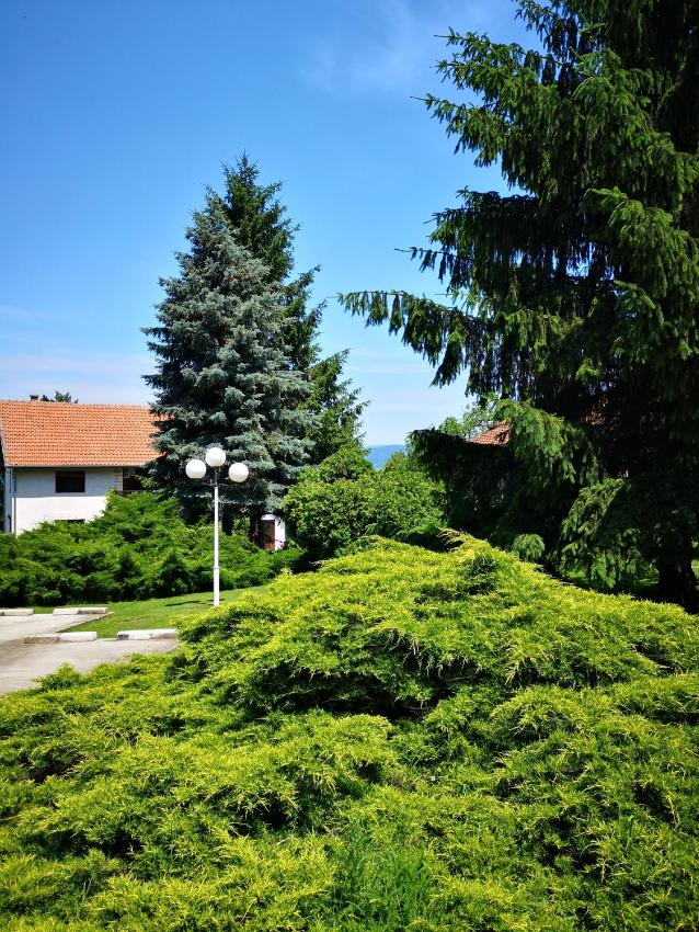 Apartment and Rooms Dedine Golubac