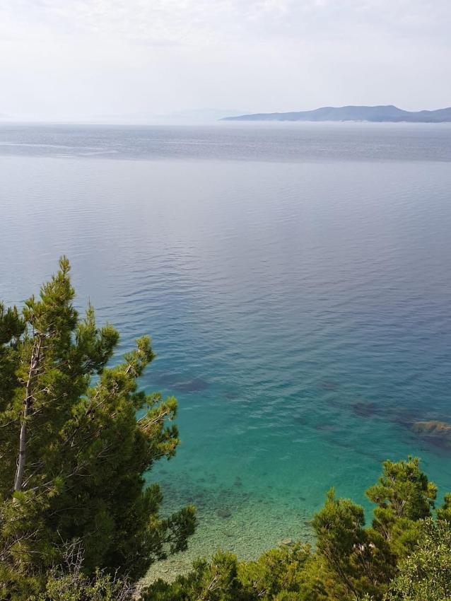 Hippocampus Apartments