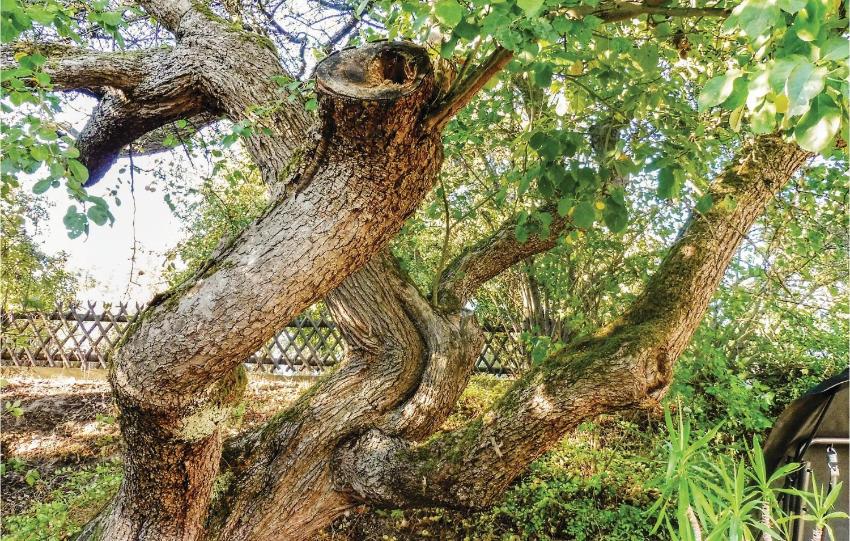 Stunning home in Schlitz-Rimbach with 2 Bedrooms