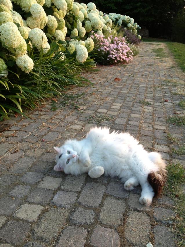 Il Borgo Delle Grazie