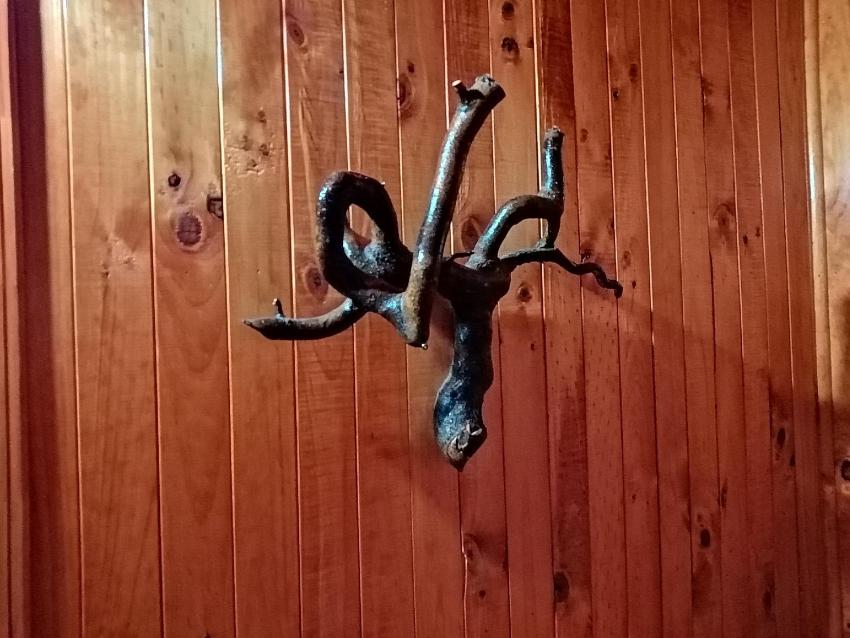 Cabañas El Diuco en Coñaripe 1