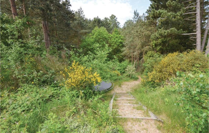 Amazing home in Ebeltoft with 8 Bedrooms, WiFi and Indoor swimming pool