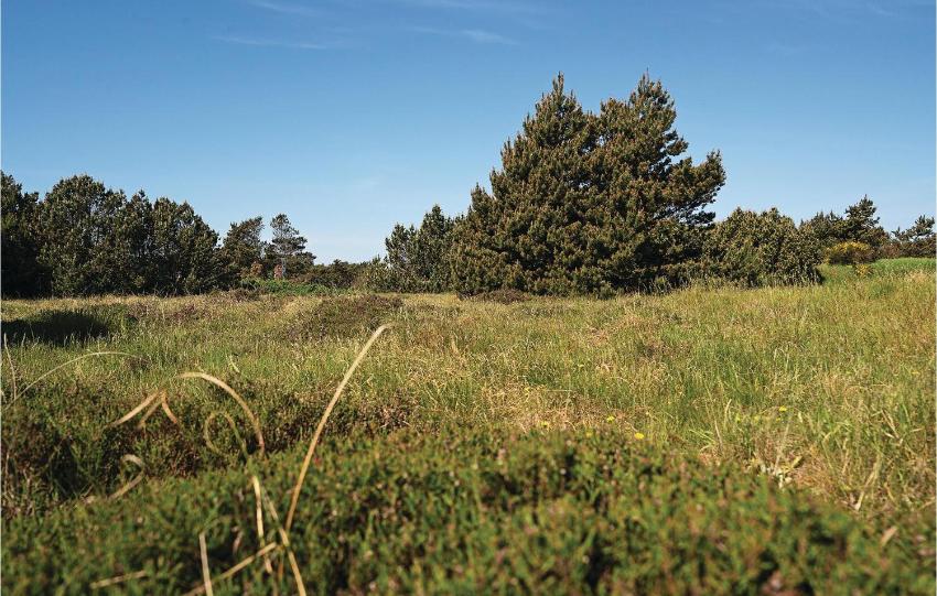 Holiday home Ingridsvej IV