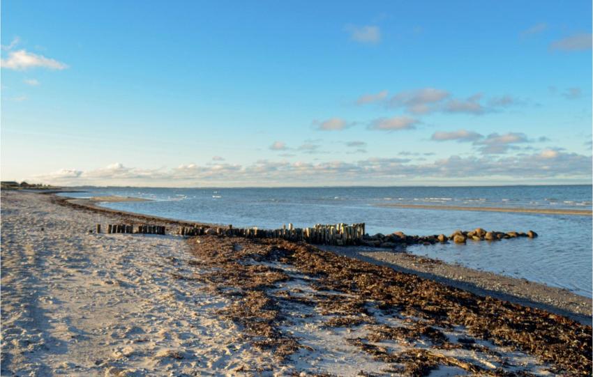 Four-Bedroom Holiday Home in Glesborg