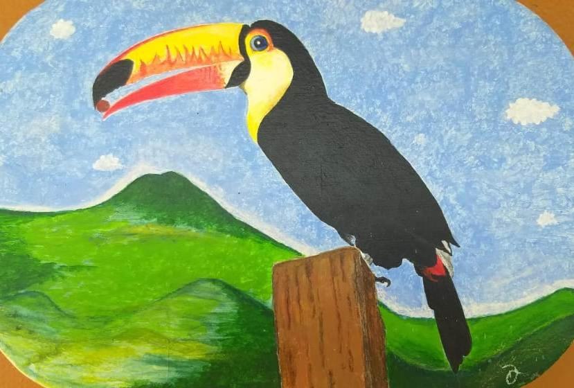 Pousada Encantos do Cerrado