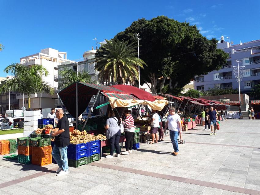 Apartamentos Medano - Estrella del Mar