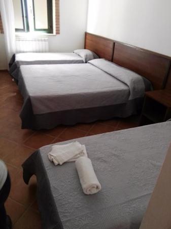 il casale delle arance