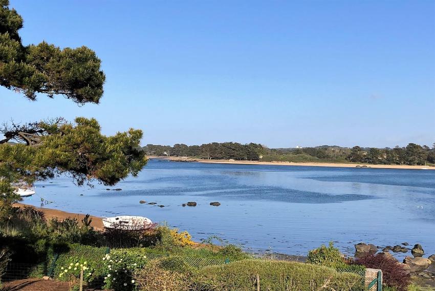 Maison bretonne avec BELLE VUE MER à TREGASTEL - Ref 50