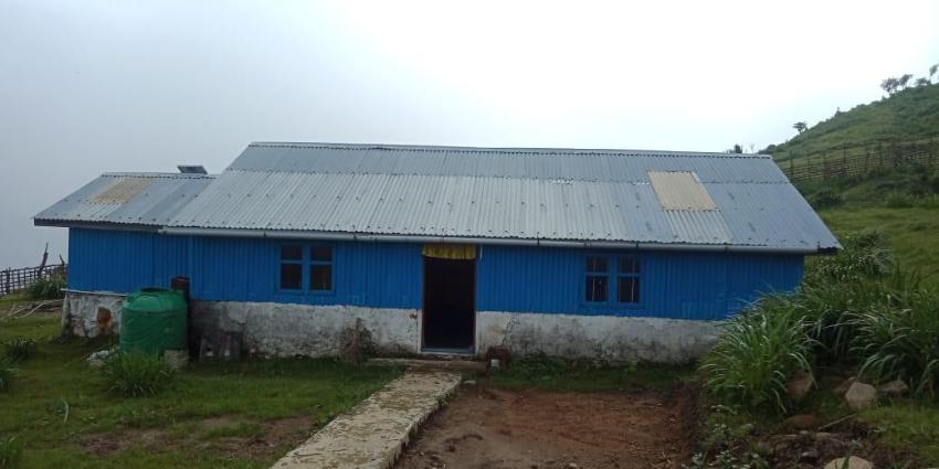 Vamoose Sunshine Tonglu