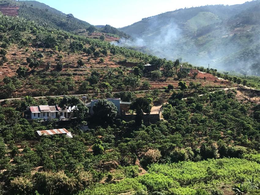 OVi coffee farmstay Đà Lạt