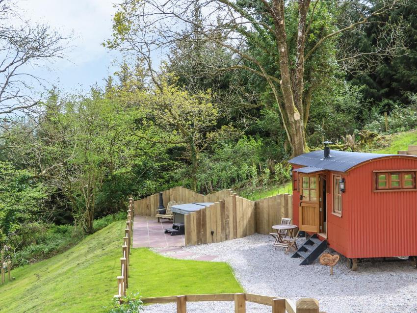 Little Silver Owl, Umberleigh