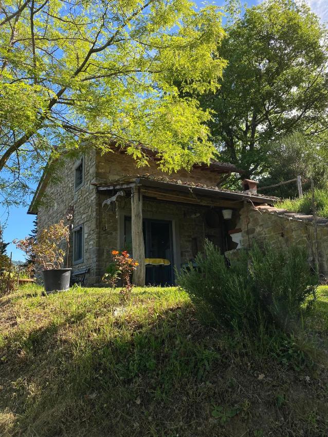la Casetta Nel Bosco Feel the nature