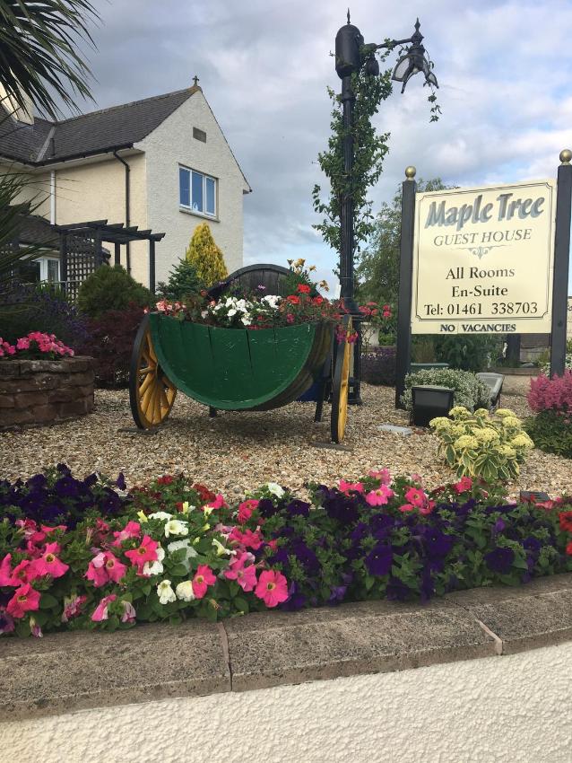 Maple Tree Guesthouse