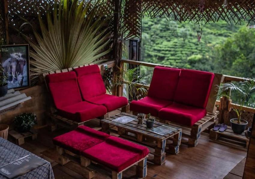 Tree House Cafe Ella