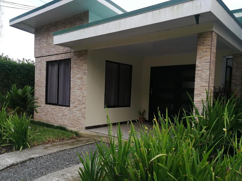 Tamandua -Home Feeling-