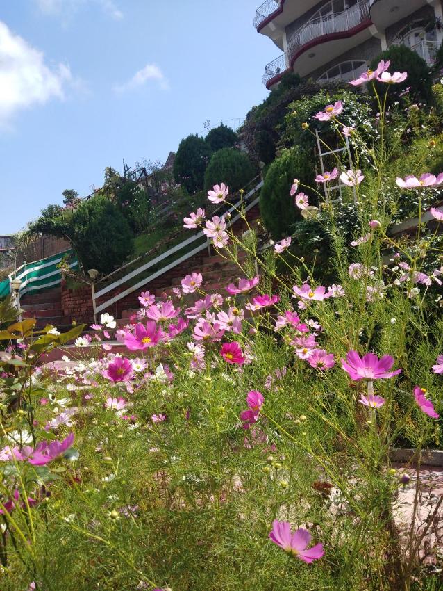 Hotel Victoriya palace