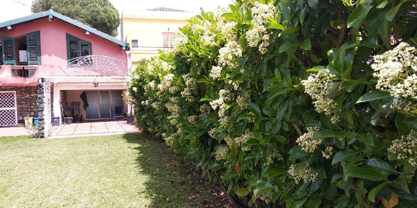 Villa with garden near the sea, with wi-fi