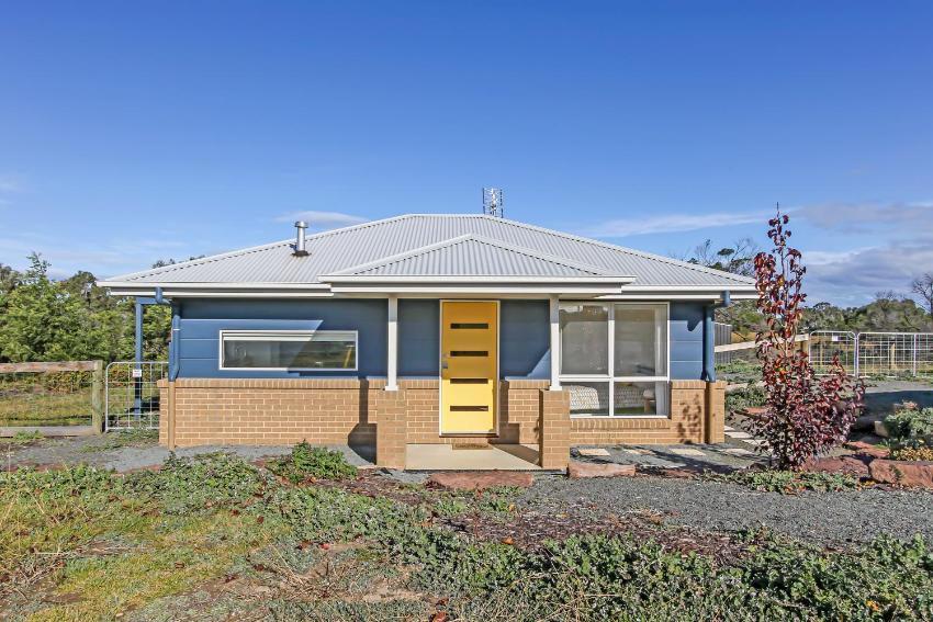 The Friendly Pelican