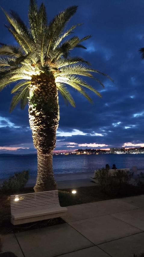 Spacious Apartment Center