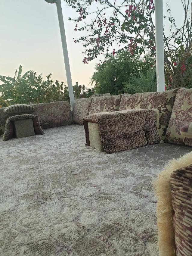 سكن وسط الطبيعة