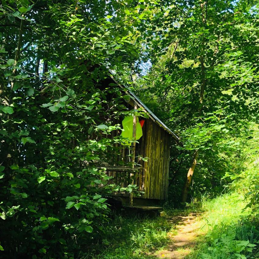Tiny hut in the forest overlooking the river