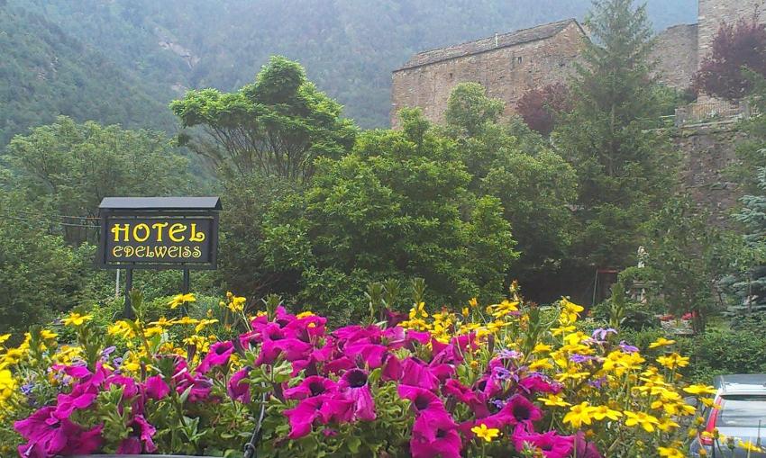 Edelweiss Hotel