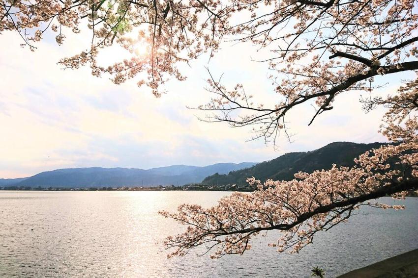"1日1組限定" 農家民泊三左衛門邸 in 高島マキノ メタセコイア並木 白鬚神社 スキー場 琵琶湖の見える丘