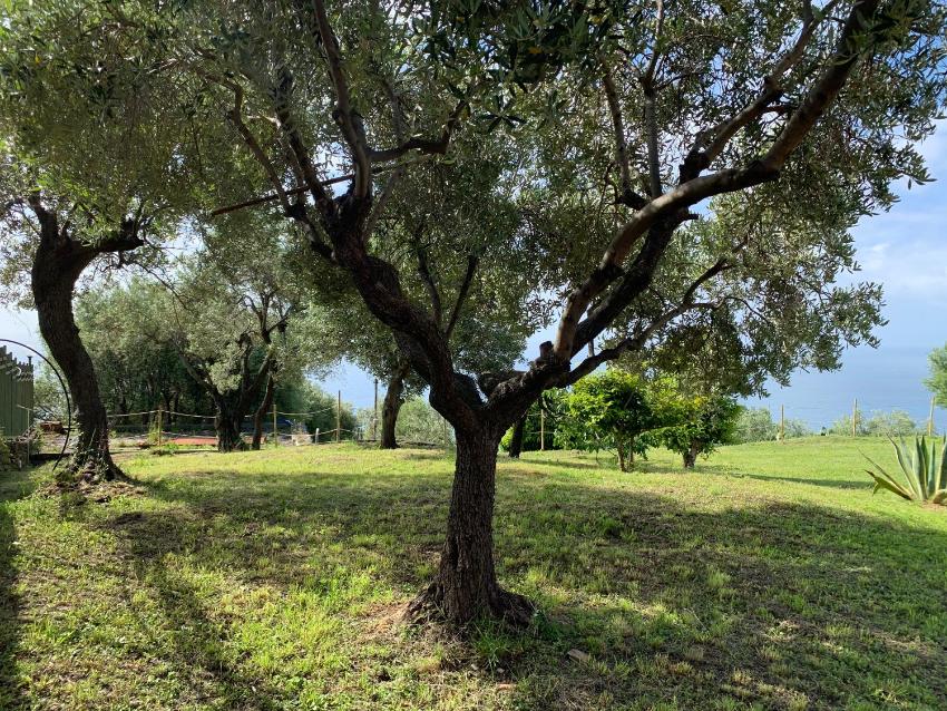 Villa Crevari by Holiday World