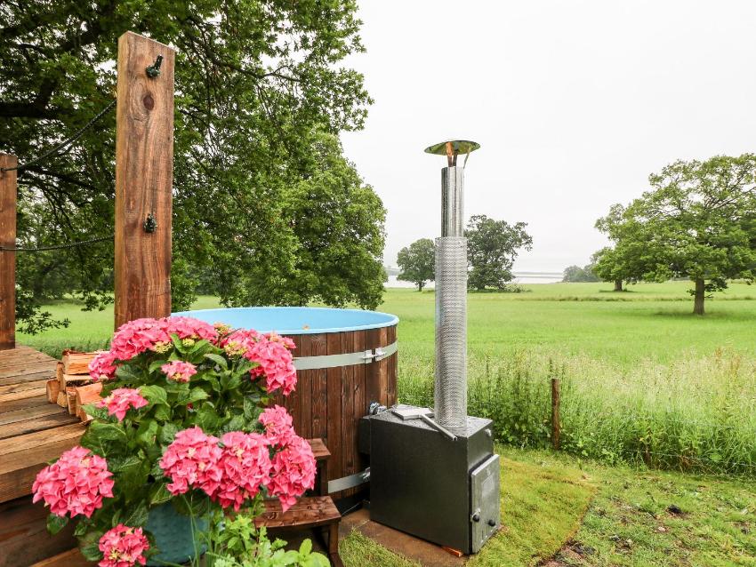 The Lazy Mare by The Water