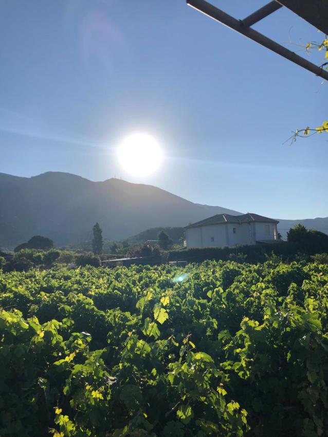 Charming 2-Bed House in Kallithea