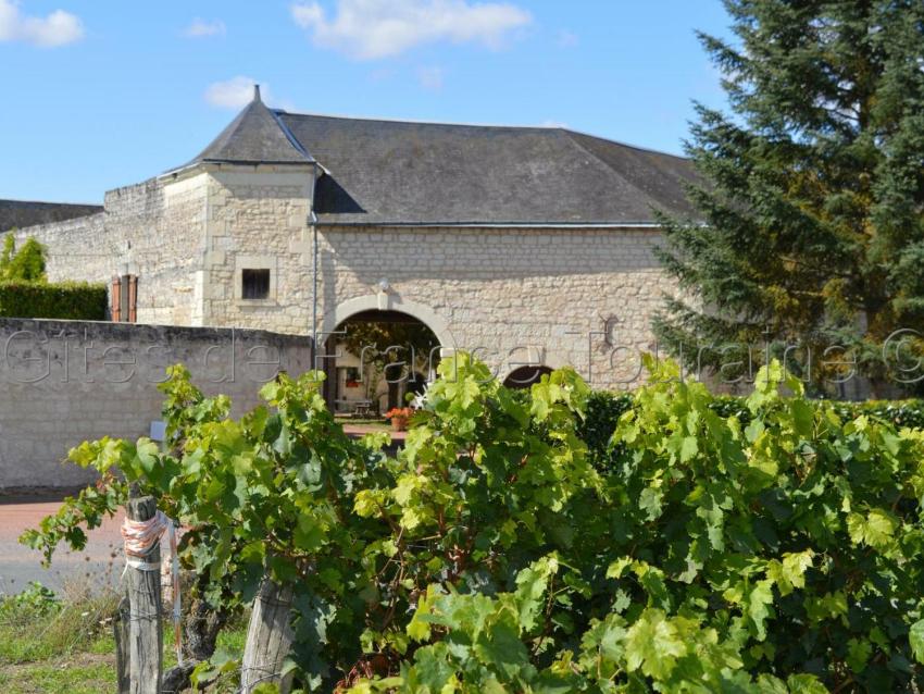 Gîte Ligré, 3 pièces, 4 personnes - FR-1-381-10