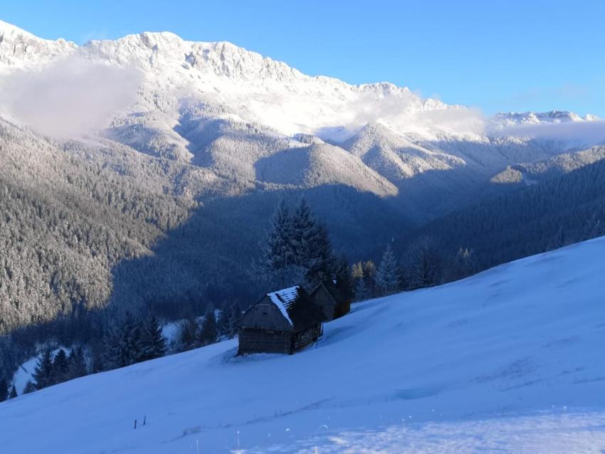 ALEGRIA - MOIECIU DE SUS