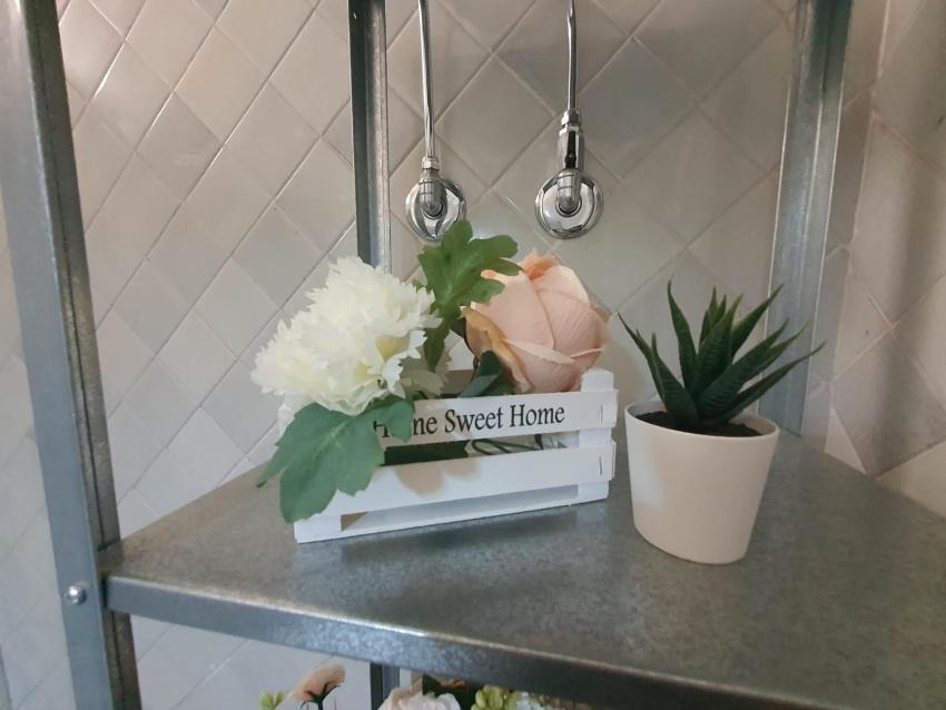 Chafbius Downtown Deluxe