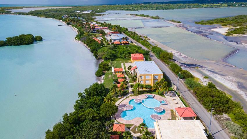 Cozy 1BR Apartment 1