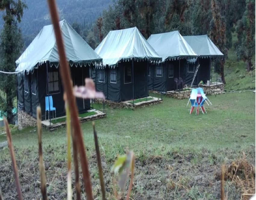 Camping at Birds Watching Camps