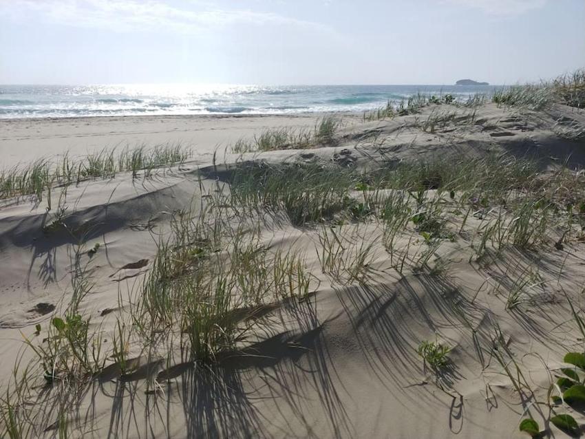 Beach and Beyond