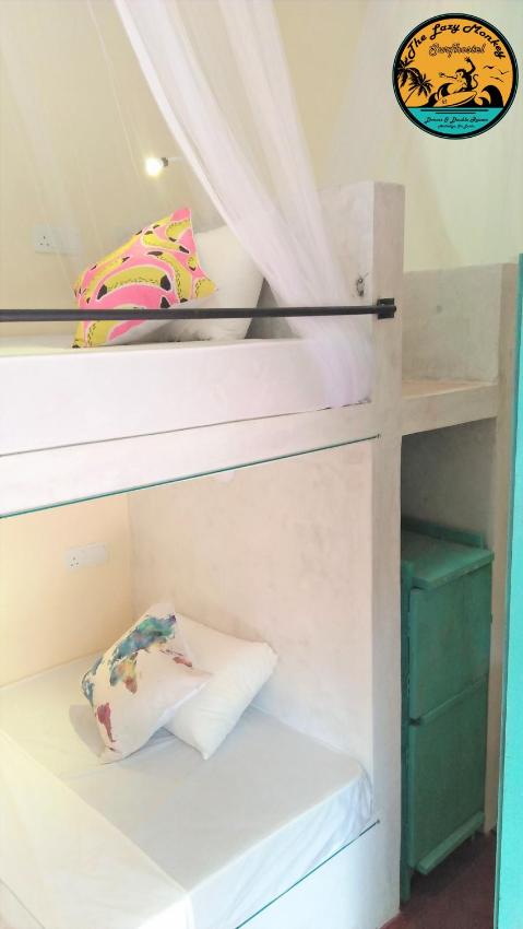 Lazy Monkey Sri Lanka