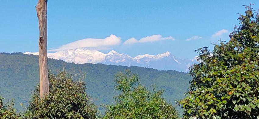 Orange Soul Homestay