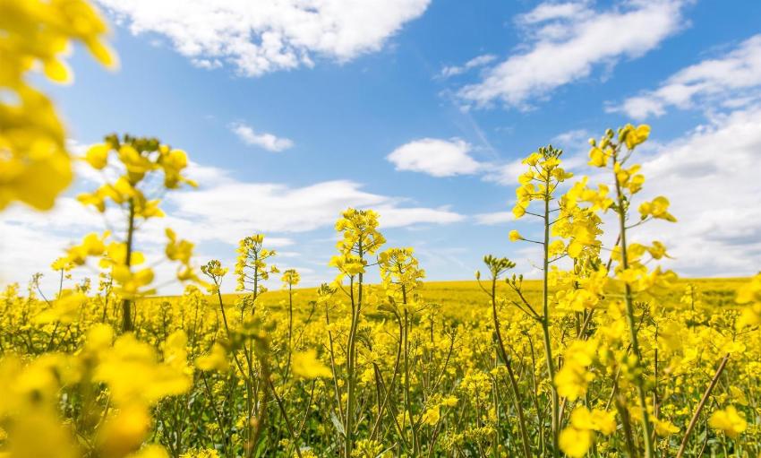 Ferienwohnung Flensfjord