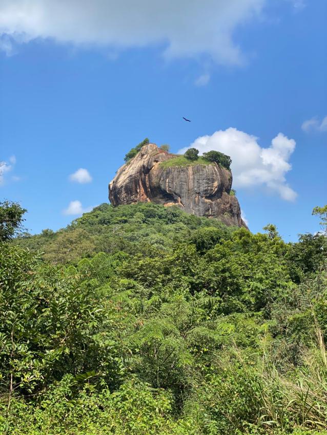 The Elephant Hide villa Sigiriya