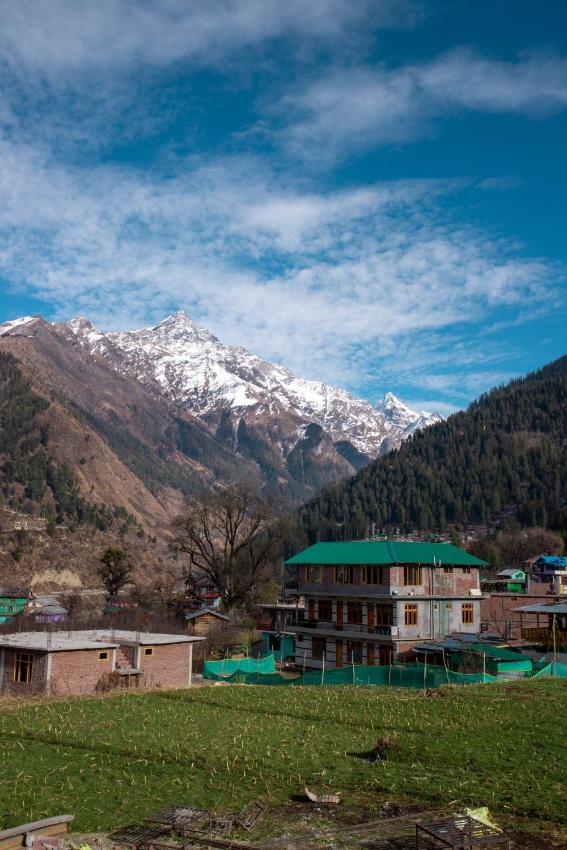 Bella View Hostel, Pulga