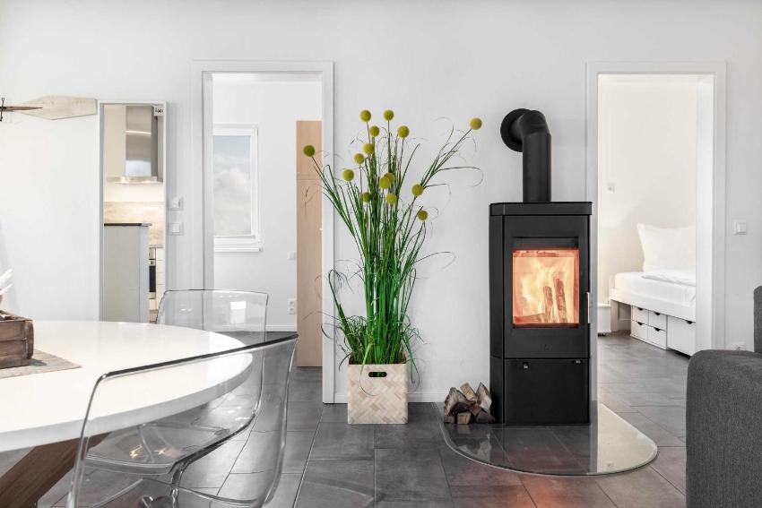 Salzhaff StrandHaeuser mit Kamin u