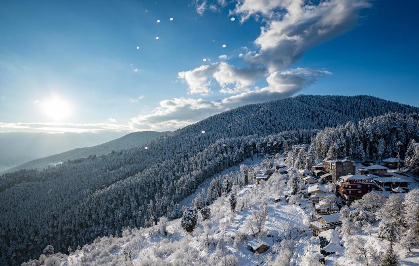 Back Wood Stays Cheog