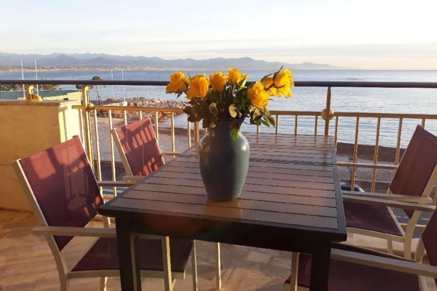 Seafront one bedroom apartment with a terrasse swimming pool and a parking