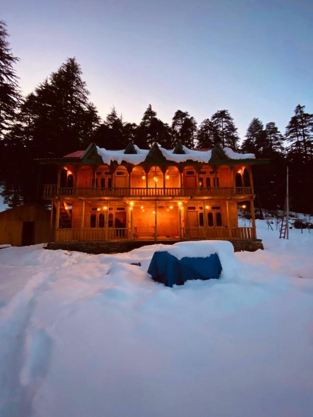 Into The Wild - Shangarh