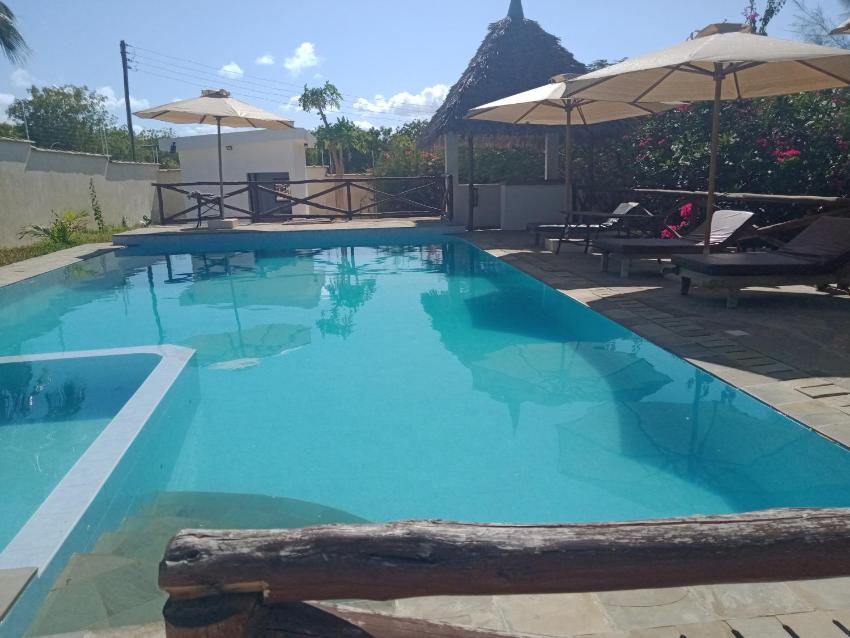 Studio full furnished