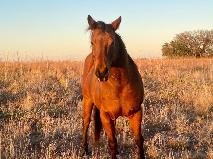 Virginias RV Spots - Power and Water only RV Spot, NO RV included