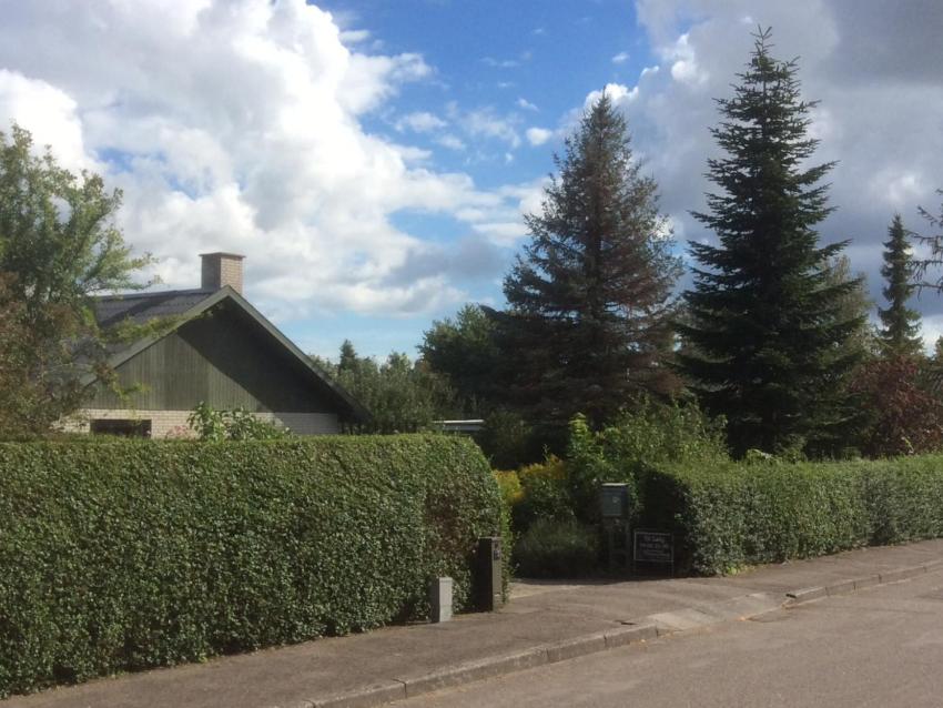 Deluxe-Dobbeltværelse med eget bad