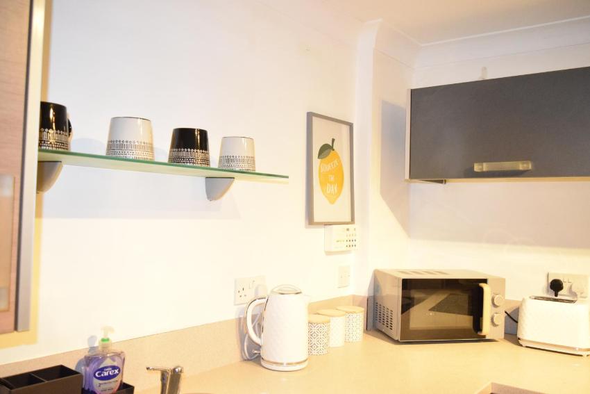 The Jungle Apartment